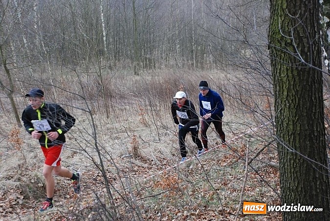 Zdjęcie w galerii na portalu naszwodzislaw.com: VII edycja Błękitnej wstęgi Balatonu za nami wiadomości z regionu