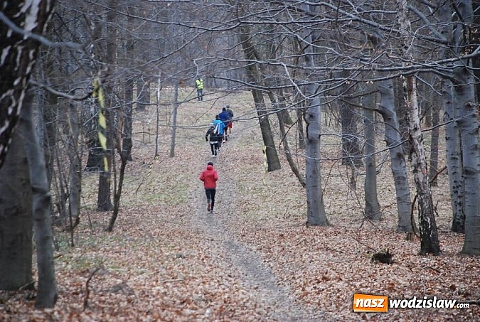 Zdjęcie w galerii na portalu naszwodzislaw.com: VII edycja Błękitnej wstęgi Balatonu za nami wiadomości z regionu