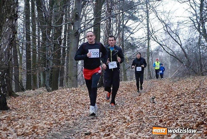 Zdjęcie w galerii na portalu naszwodzislaw.com: VII edycja Błękitnej wstęgi Balatonu za nami wiadomości z regionu