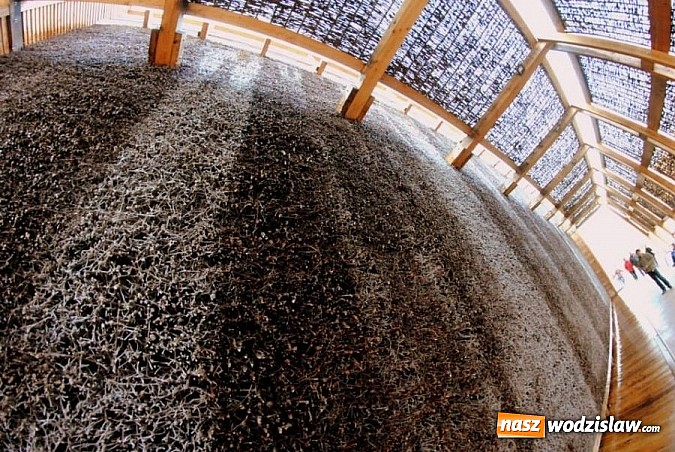 Zdjęcie w galerii na portalu naszwodzislaw.com: Nowy sezon uzdrowiskowy przy radlińskiej tężni - rozpoczęty wiadomości z regionu