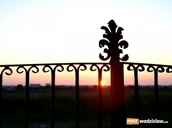 Zdjęcie w galerii na portalu naszwodzislaw.com: Wykuj swój styl i wybierz najlepsze ogrodzenie z firmą FERKON wiadomości z regionu