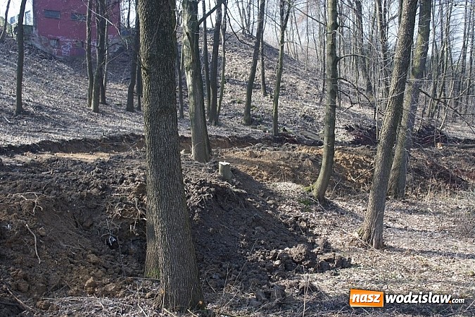 Zdjęcie w galerii na portalu naszwodzislaw.com: W Mszanie ruszyły prace związane z budową parku aktywnej rekreacji. Koszt realizacji wyniesie ok. 1,5 mln złotych wiadomości z regionu