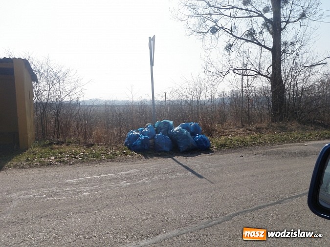 Zdjęcie w galerii na portalu naszwodzislaw.com: Zebrali około 4 ton odpadów wiadomości z regionu