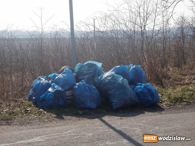 Zdjęcie w galerii na portalu naszwodzislaw.com: Zebrali około 4 ton odpadów wiadomości z regionu