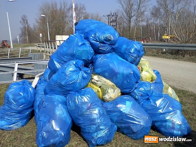 Zdjęcie w galerii na portalu naszwodzislaw.com: Zebrali około 4 ton odpadów wiadomości z regionu