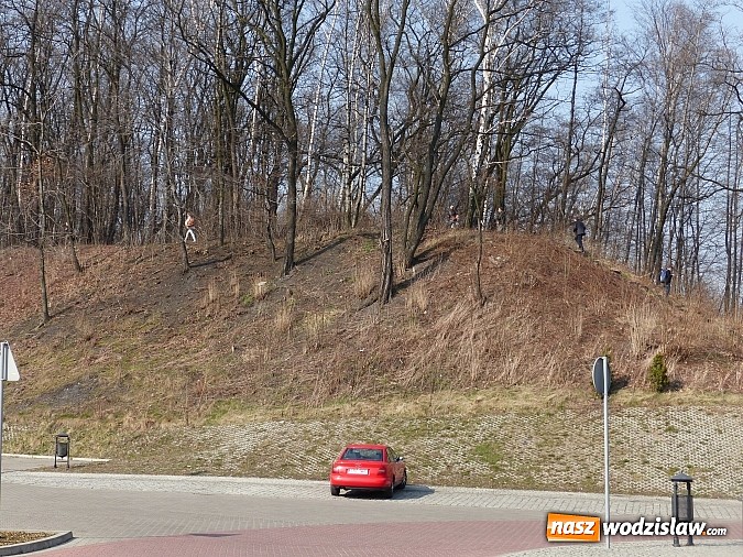 Zdjęcie w galerii na portalu naszwodzislaw.com: Rewitalizacja stawu Machnikowiec coraz bliżej wiadomości z regionu