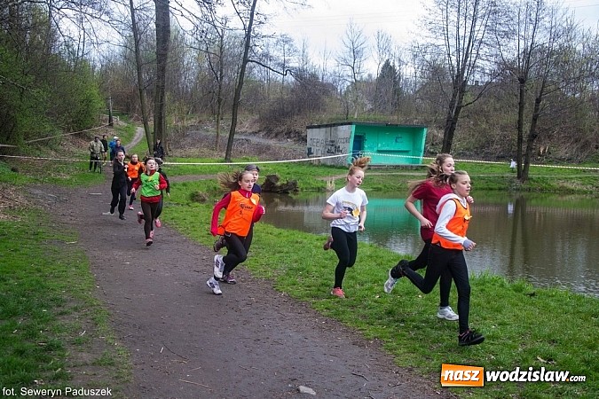 Zdjęcie w galerii na portalu naszwodzislaw.com: Rydułtowski cross o puchar burmistrza miasta wiadomości z regionu