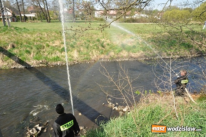 Zdjęcie w galerii na portalu naszwodzislaw.com: Rzeka Ruda została zaadoptowana wiadomości z regionu
