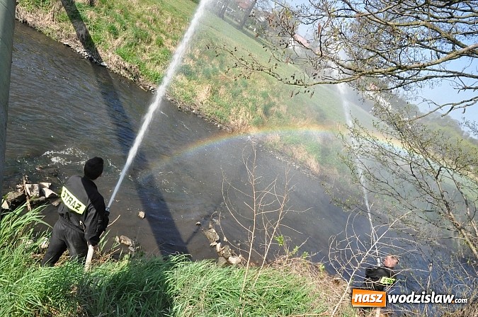 Zdjęcie w galerii na portalu naszwodzislaw.com: Rzeka Ruda została zaadoptowana wiadomości z regionu
