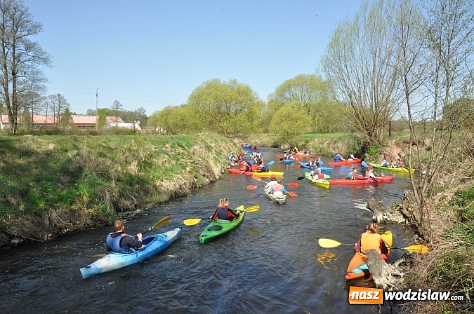 Zdjęcie w galerii na portalu naszwodzislaw.com: Rzeka Ruda została zaadoptowana wiadomości z regionu