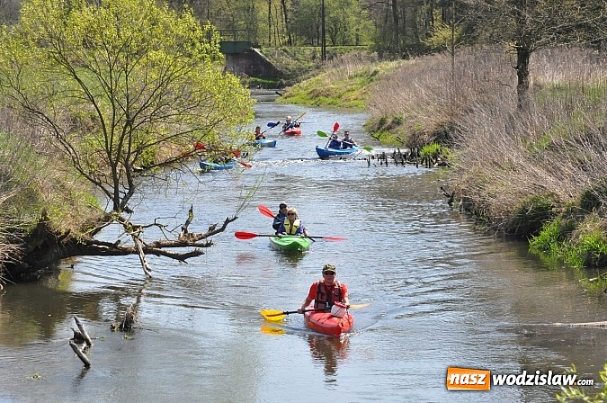 Zdjęcie w galerii na portalu naszwodzislaw.com: Rzeka Ruda została zaadoptowana wiadomości z regionu