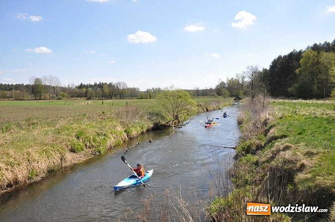 Zdjęcie w galerii na portalu naszwodzislaw.com: Rzeka Ruda została zaadoptowana wiadomości z regionu