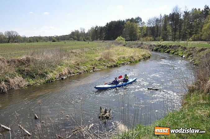 Zdjęcie w galerii na portalu naszwodzislaw.com: Rzeka Ruda została zaadoptowana wiadomości z regionu