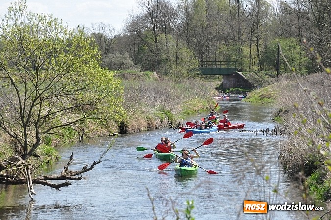 Zdjęcie w galerii na portalu naszwodzislaw.com: Rzeka Ruda została zaadoptowana wiadomości z regionu