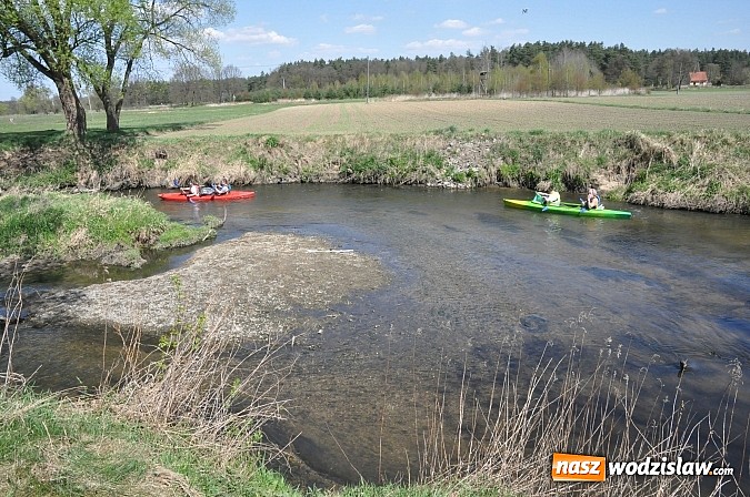 Zdjęcie w galerii na portalu naszwodzislaw.com: Rzeka Ruda została zaadoptowana wiadomości z regionu