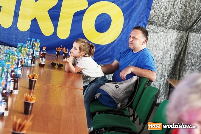 Zdjęcie w galerii na portalu naszwodzislaw.com: Wielkie Sprzątanie Rzeki Rudy – część druga  wiadomości z regionu