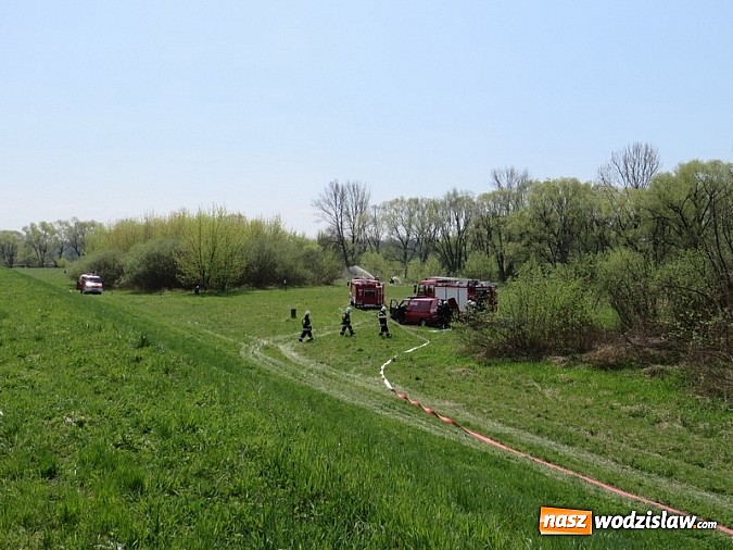 Zdjęcie w galerii na portalu naszwodzislaw.com: Ćwiczenia Kompanii Odwodowej OSP wiadomości z regionu