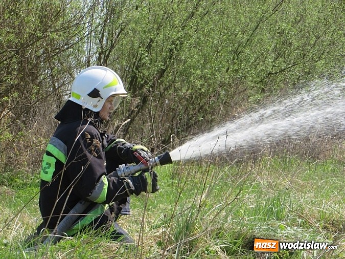 Zdjęcie w galerii na portalu naszwodzislaw.com: Ćwiczenia Kompanii Odwodowej OSP wiadomości z regionu