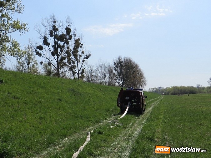 Zdjęcie w galerii na portalu naszwodzislaw.com: Ćwiczenia Kompanii Odwodowej OSP wiadomości z regionu