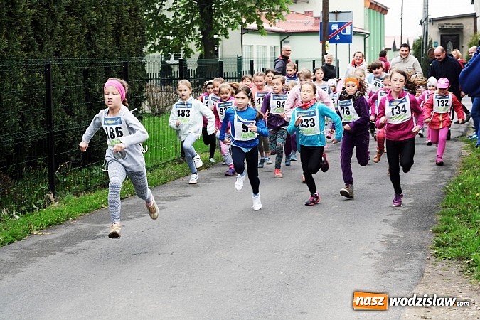 Zdjęcie w galerii na portalu naszwodzislaw.com: Radliński Bieg Ekologiczny odbył się po raz XX wiadomości z regionu