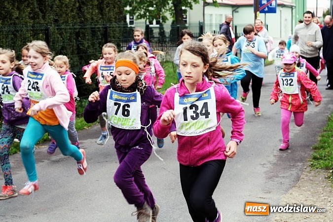 Zdjęcie w galerii na portalu naszwodzislaw.com: Radliński Bieg Ekologiczny odbył się po raz XX wiadomości z regionu