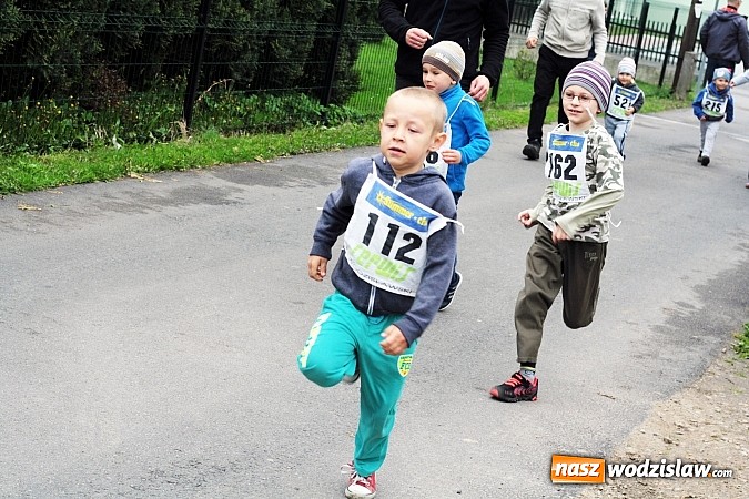 Zdjęcie w galerii na portalu naszwodzislaw.com: Radliński Bieg Ekologiczny odbył się po raz XX wiadomości z regionu
