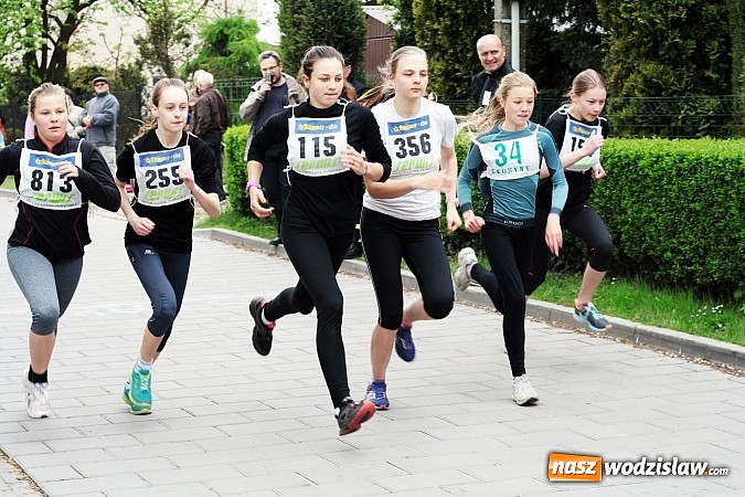 Zdjęcie w galerii na portalu naszwodzislaw.com: Radliński Bieg Ekologiczny odbył się po raz XX wiadomości z regionu