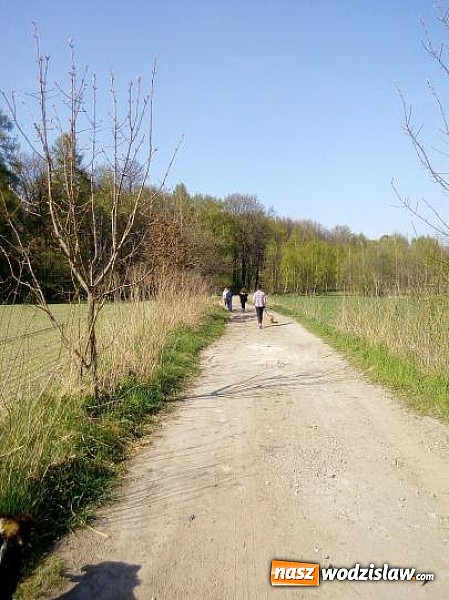 Zdjęcie w galerii na portalu naszwodzislaw.com: Podopieczni „Dziupli” pomogli zwierzakom wiadomości z regionu