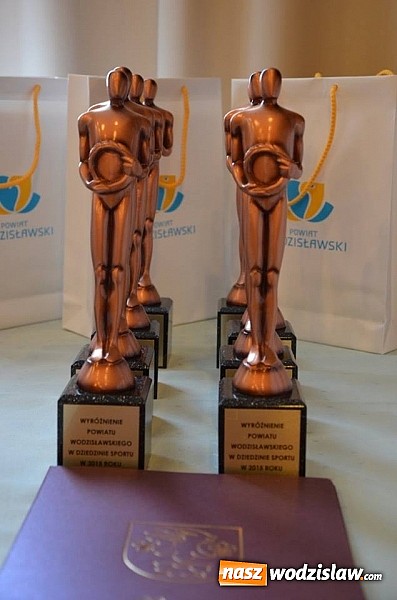 Zdjęcie w galerii na portalu naszwodzislaw.com: Nagrodzono sportowc&oacute;w, trener&oacute;w oraz ludzi kultury wiadomości z regionu