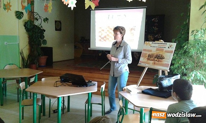 Zdjęcie w galerii na portalu naszwodzislaw.com: Wodzisławscy uczniowie dowiadują się wszystkiego na temat pszczół  wiadomości z regionu