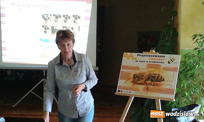 Zdjęcie w galerii na portalu naszwodzislaw.com: Wodzisławscy uczniowie dowiadują się wszystkiego na temat pszczół  wiadomości z regionu