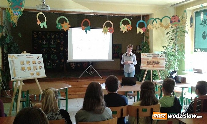 Zdjęcie w galerii na portalu naszwodzislaw.com: Wodzisławscy uczniowie dowiadują się wszystkiego na temat pszczół  wiadomości z regionu