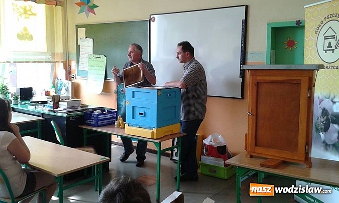 Zdjęcie w galerii na portalu naszwodzislaw.com: Wodzisławscy uczniowie dowiadują się wszystkiego na temat pszczół  wiadomości z regionu