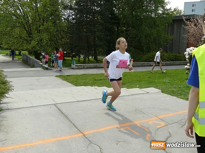 Zdjęcie w galerii na portalu naszwodzislaw.com: Sukces rydułtowskich lekkoatletów w Orlovej  wiadomości z regionu