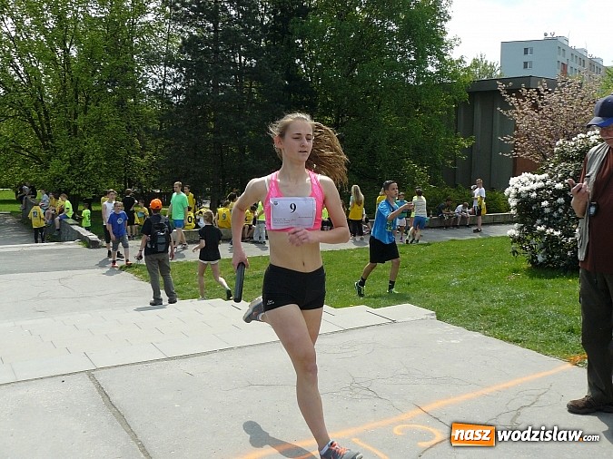 Zdjęcie w galerii na portalu naszwodzislaw.com: Sukces rydułtowskich lekkoatletów w Orlovej  wiadomości z regionu