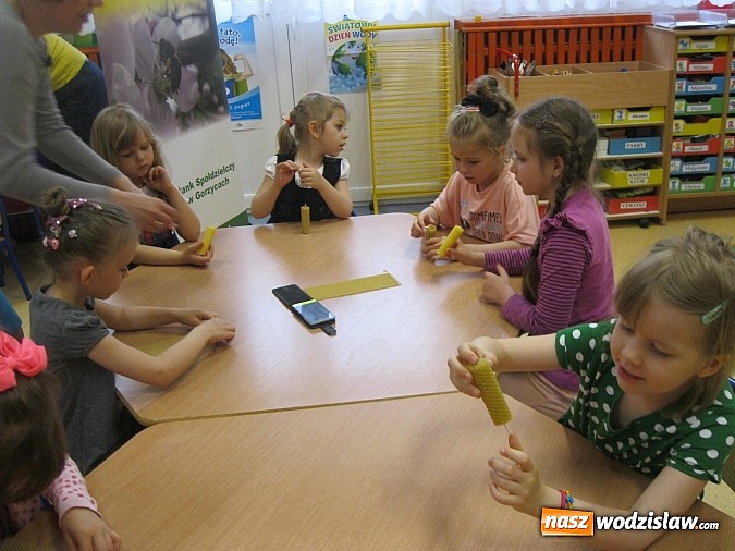 Zdjęcie w galerii na portalu naszwodzislaw.com: Znaczenie pszczół w życiu człowieka i konieczność ochrony środowiska naturalnego wiadomości z regionu