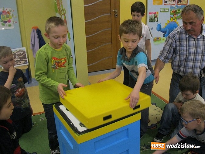 Zdjęcie w galerii na portalu naszwodzislaw.com: Znaczenie pszczół w życiu człowieka i konieczność ochrony środowiska naturalnego wiadomości z regionu