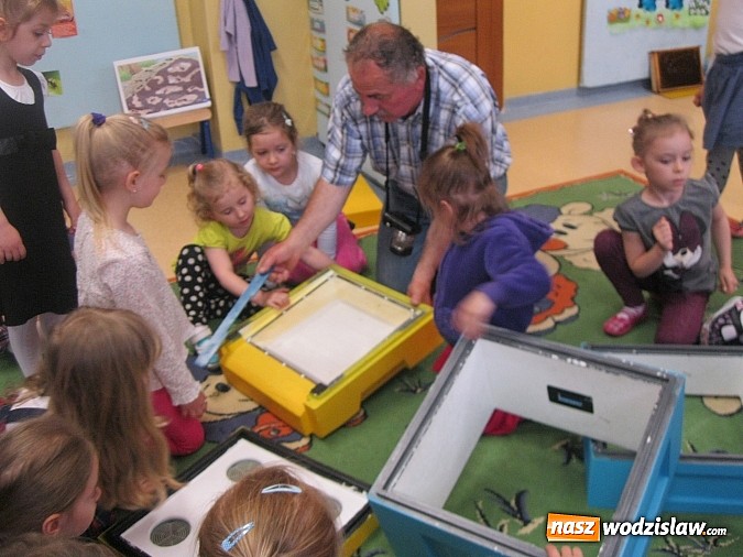 Zdjęcie w galerii na portalu naszwodzislaw.com: Znaczenie pszczół w życiu człowieka i konieczność ochrony środowiska naturalnego wiadomości z regionu