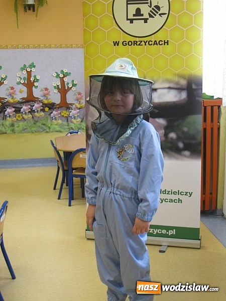 Zdjęcie w galerii na portalu naszwodzislaw.com: Znaczenie pszczół w życiu człowieka i konieczność ochrony środowiska naturalnego wiadomości z regionu
