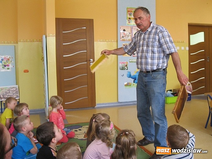 Zdjęcie w galerii na portalu naszwodzislaw.com: Znaczenie pszczół w życiu człowieka i konieczność ochrony środowiska naturalnego wiadomości z regionu
