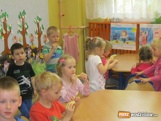 Zdjęcie w galerii na portalu naszwodzislaw.com: Znaczenie pszczół w życiu człowieka i konieczność ochrony środowiska naturalnego wiadomości z regionu