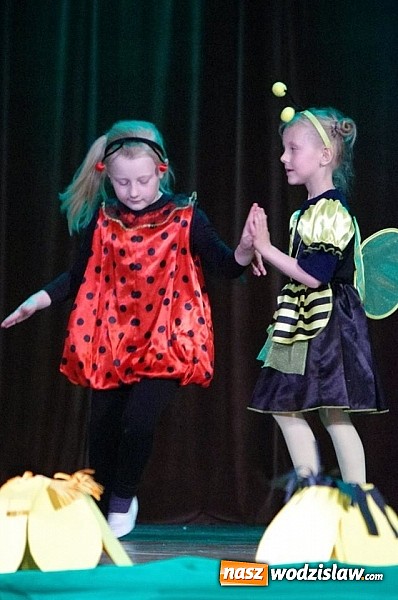 Zdjęcie w galerii na portalu naszwodzislaw.com: XXIII Miejski Festiwal Kultury Przedszkolnej zgromadził tłumy publiczności  wiadomości z regionu
