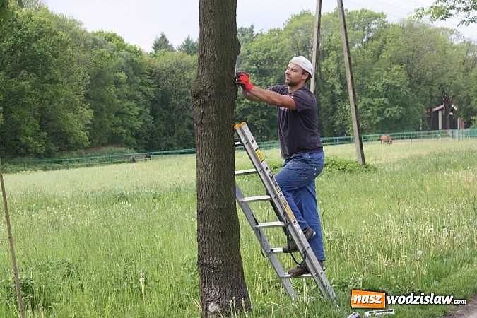 Zdjęcie w galerii na portalu naszwodzislaw.com: Trwa znakowanie tras rowerowych wiadomości z regionu