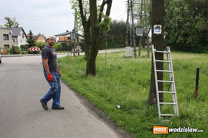 Zdjęcie w galerii na portalu naszwodzislaw.com: Trwa znakowanie tras rowerowych wiadomości z regionu