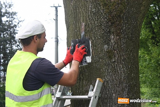 Zdjęcie w galerii na portalu naszwodzislaw.com: Trwa znakowanie tras rowerowych wiadomości z regionu