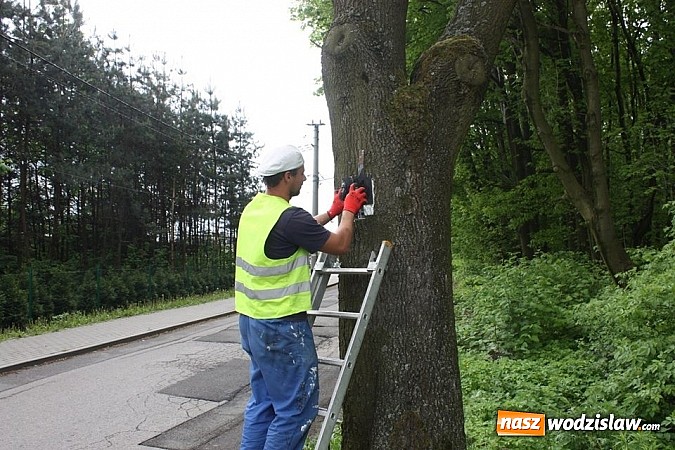Zdjęcie w galerii na portalu naszwodzislaw.com: Trwa znakowanie tras rowerowych wiadomości z regionu