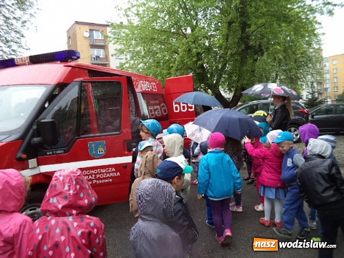 Zdjęcie w galerii na portalu naszwodzislaw.com: W przedszkolu nr 2 w Pszowie – czas wycieczek i spotkań wiadomości z regionu