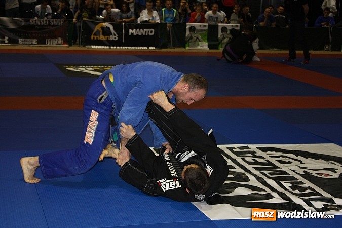 Zdjęcie w galerii na portalu naszwodzislaw.com: 13 medali zdobyli zawodnicy Octagonu wiadomości z regionu