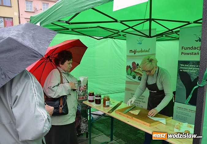 Zdjęcie w galerii na portalu naszwodzislaw.com: III Festiwal Organizacji Pozarządowych wiadomości z regionu