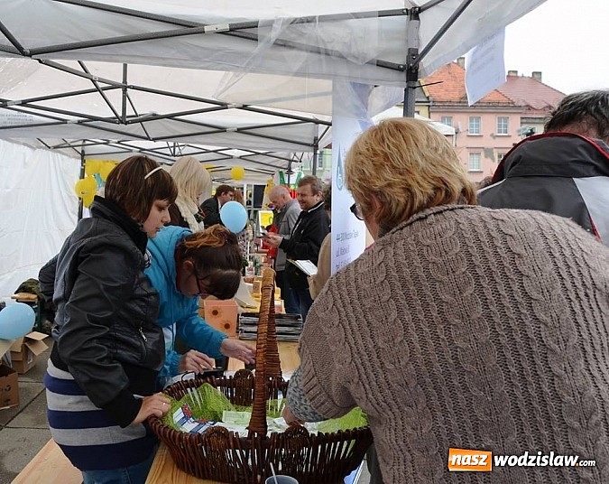 Zdjęcie w galerii na portalu naszwodzislaw.com: III Festiwal Organizacji Pozarządowych wiadomości z regionu